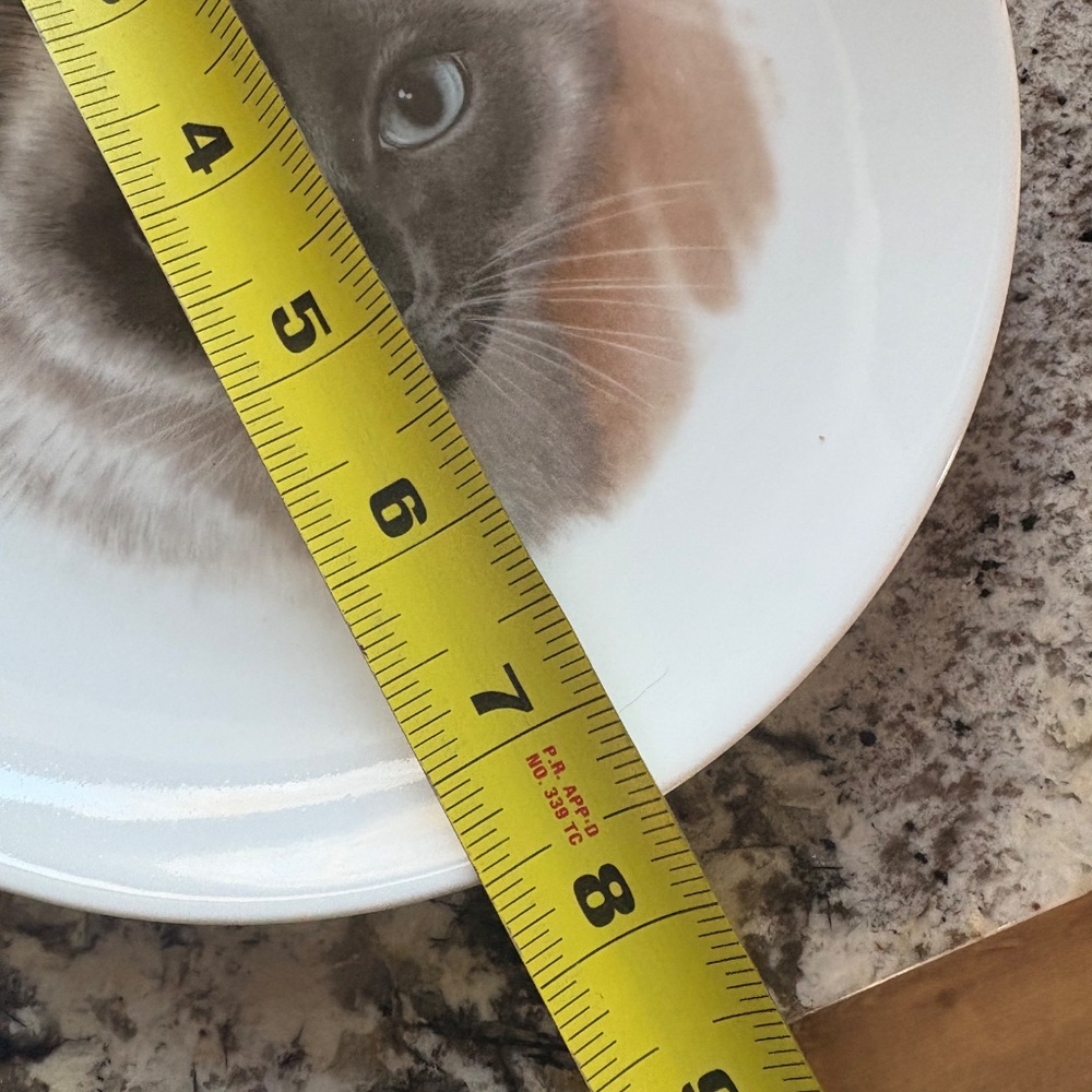Siamese Cat Collectors Plate Bavaria Schumann Arzberg Germany Porcelain - Picture 8 of 9